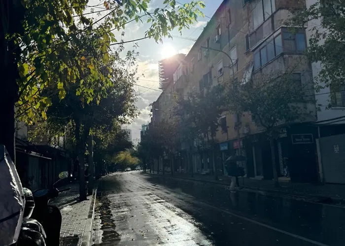 Apartament Center 1 *